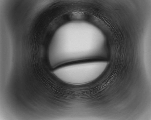X0000098130760200804171059