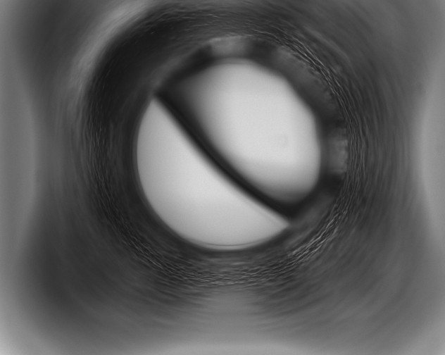 X0000098130762200804171059