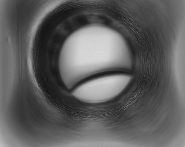 X0000098130763200804171059