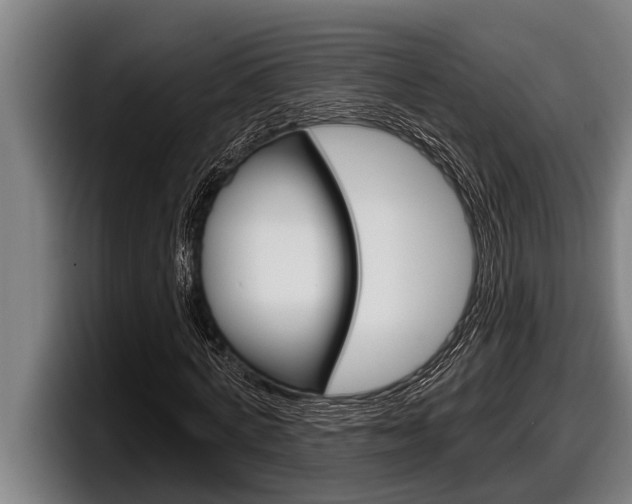 X0000098130772200804171058