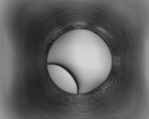 X0000098130774200804171058