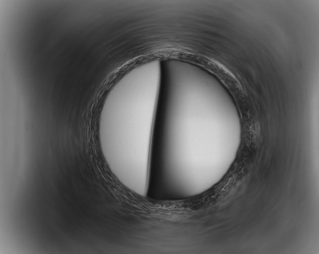 X0000098130775200804171058