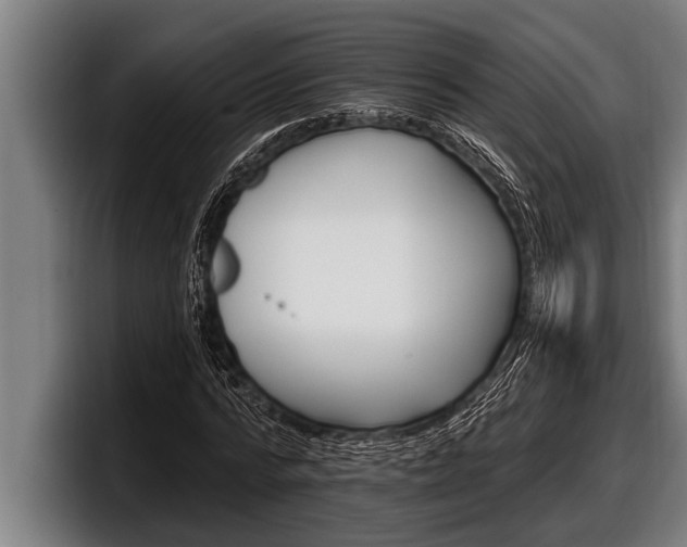 X0000098130776200804171058