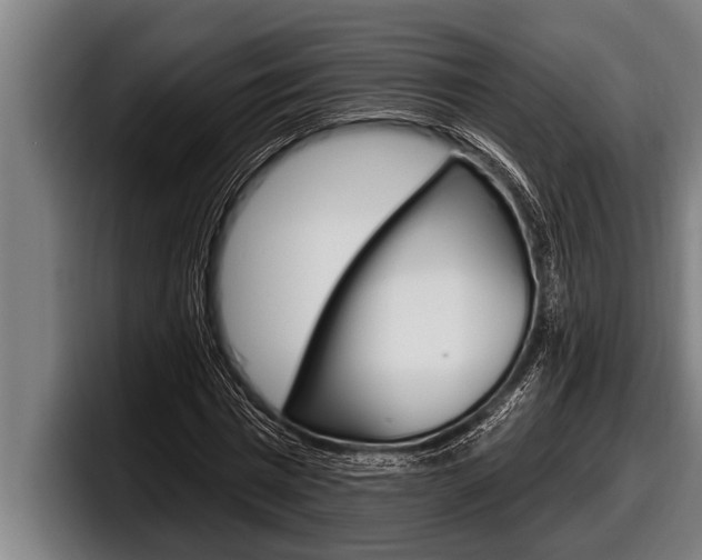 X0000098130777200804171058