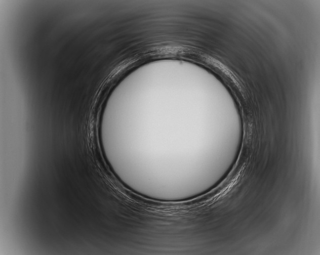 X0000098130778200804171058