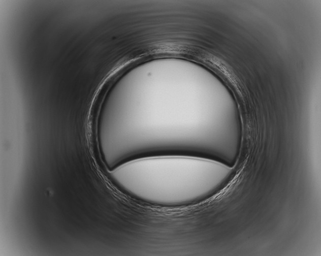 X0000098130779200804171058