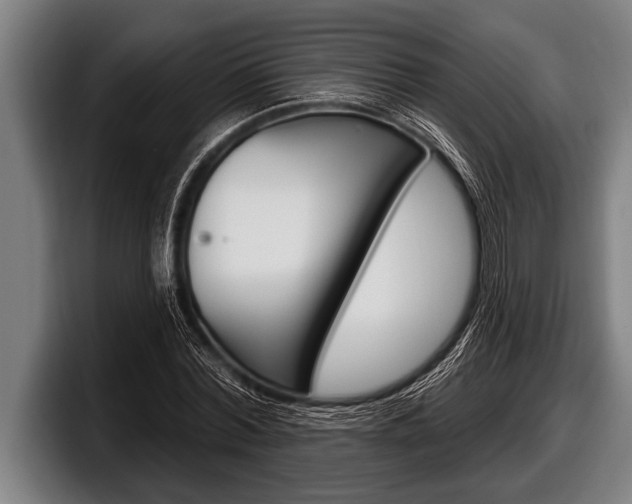 X0000098130780200804171058