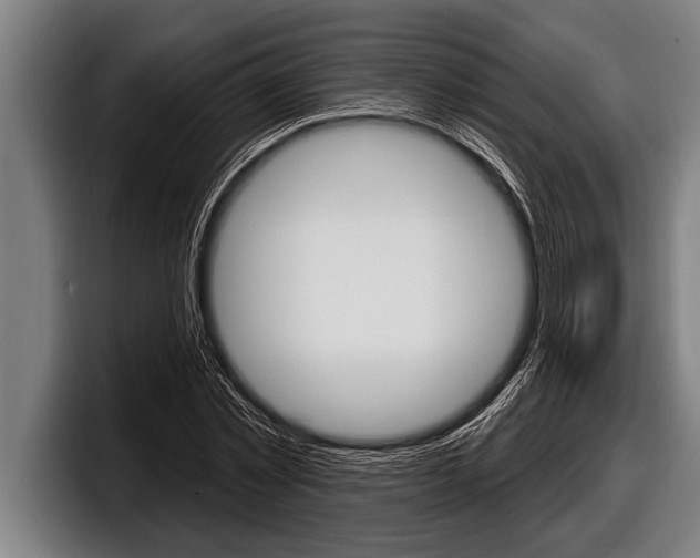 X0000098130781200804171058