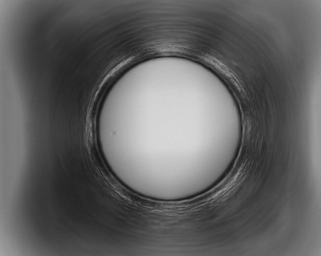 X0000098130782200804171058