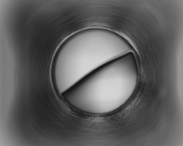 X0000098130783200804171058