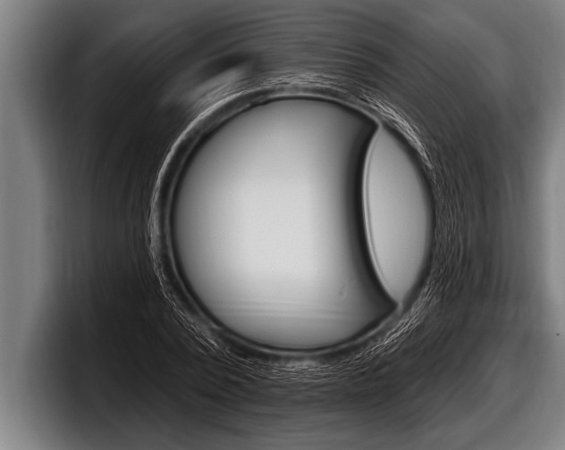 X0000098130784200804171058