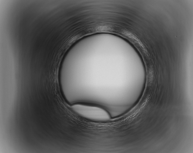 X0000098130785200804171058