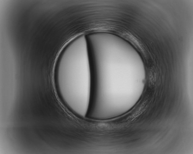 X0000098130787200804171058