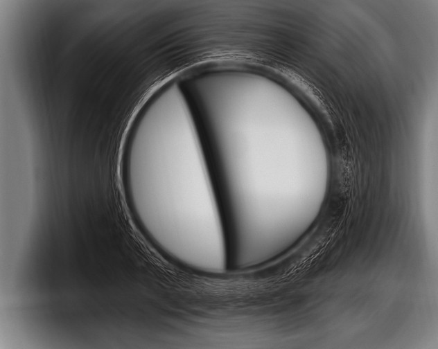 X0000098130791200804171058