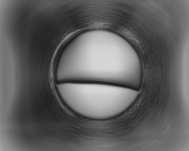 X0000098130792200804171058