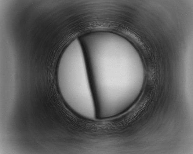 X0000098130793200804171058