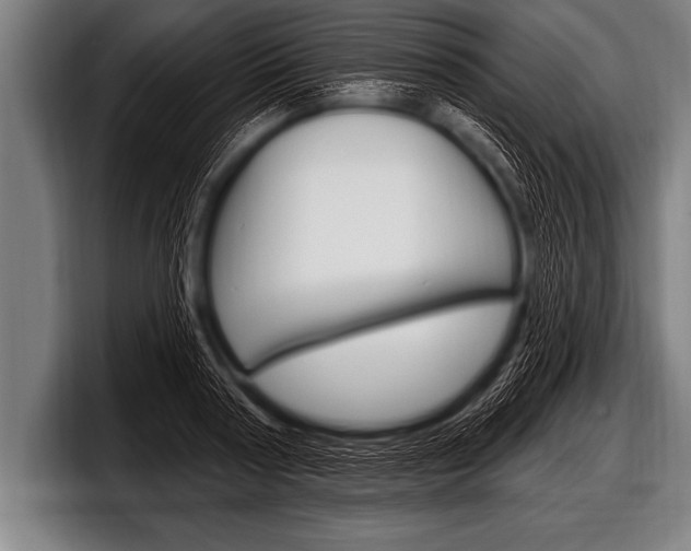 X0000098130794200804171058
