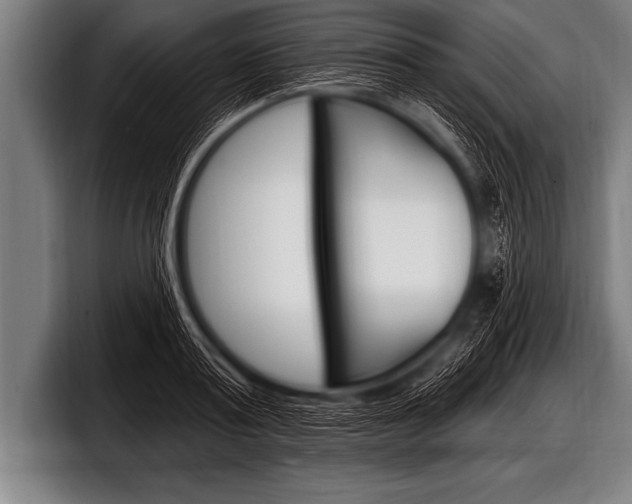 X0000098130795200804171058