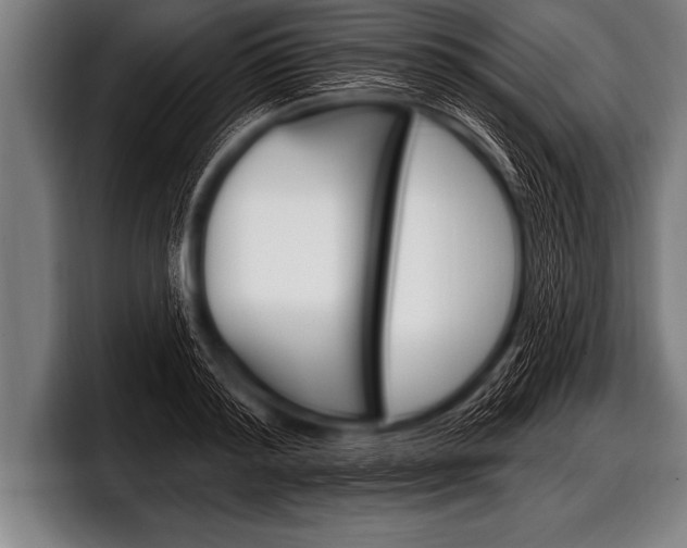 X0000098130796200804171058