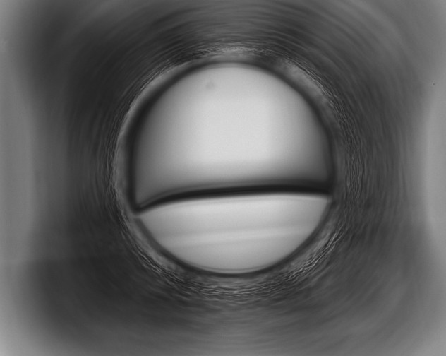 X0000098130800200804171058