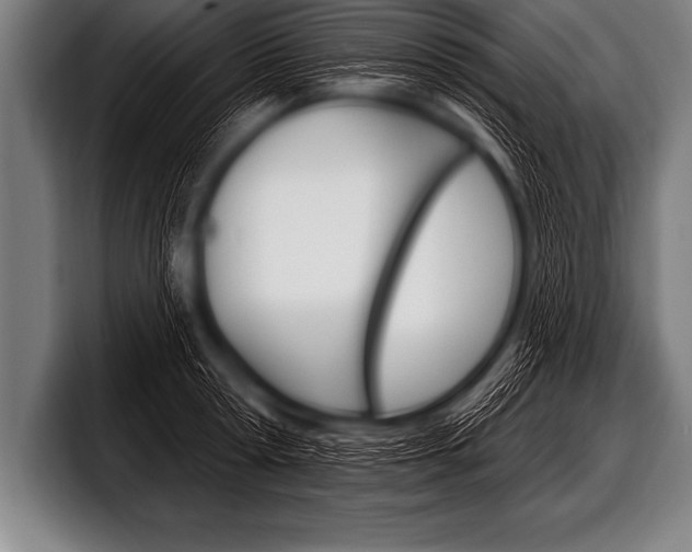 X0000098130802200804171058