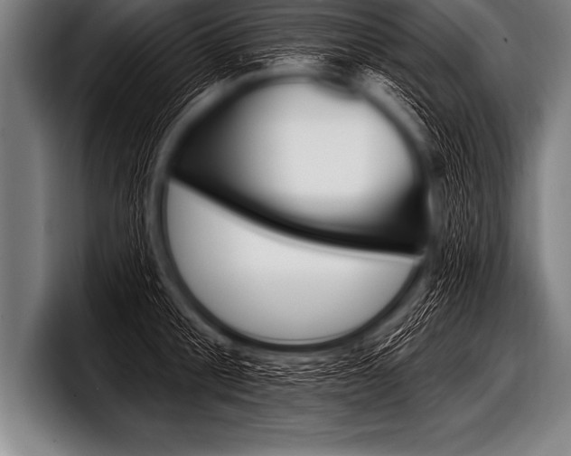 X0000098130805200804171058