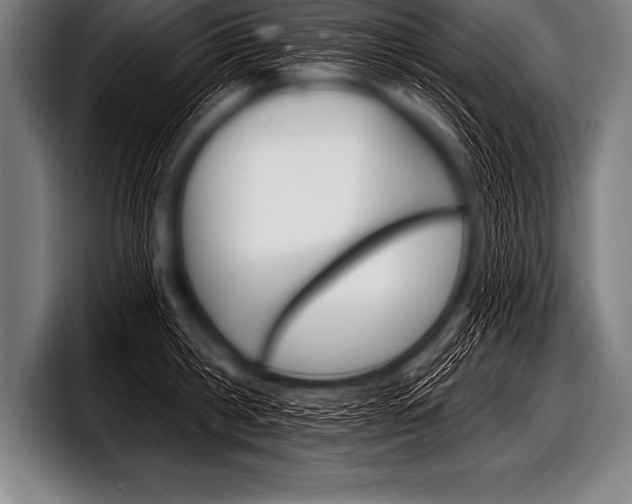 X0000098130806200804171058