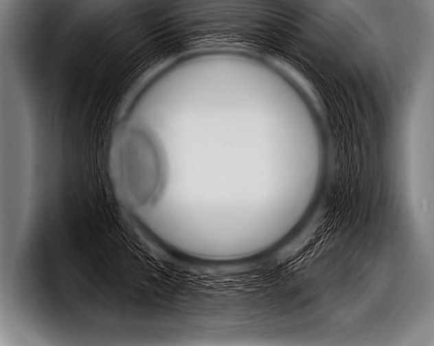 X0000098130807200804171058