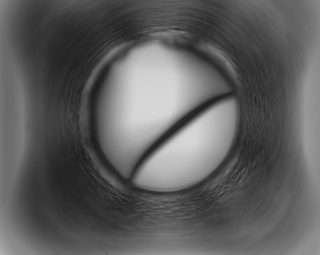 X0000098130808200804171058