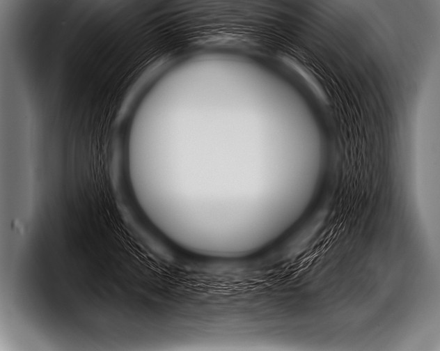 X0000098130812200804171058