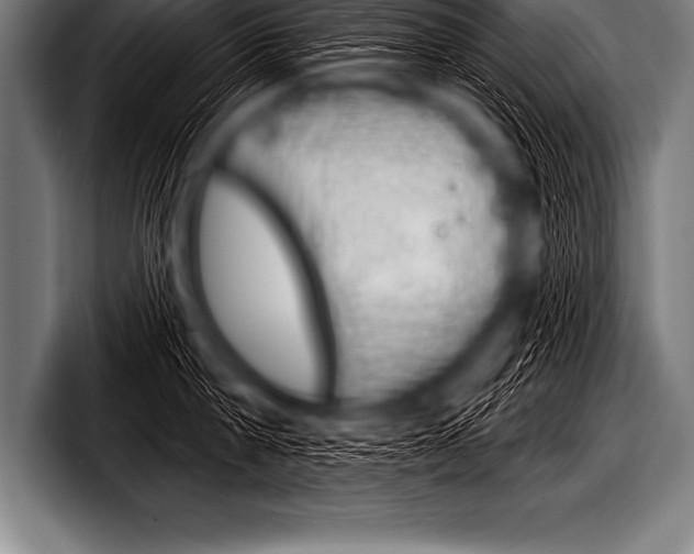 X0000098130814200804171058