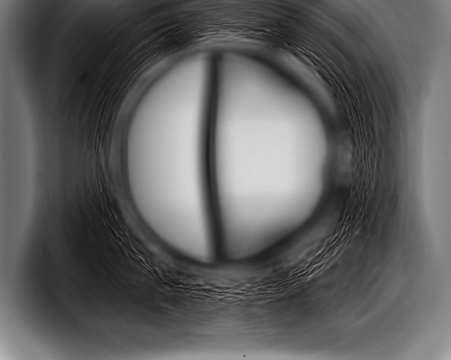 X0000098130815200804171058