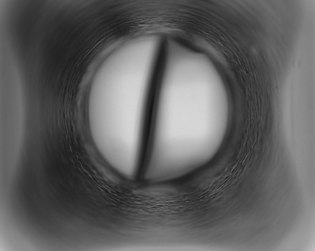 X0000098130816200804171058