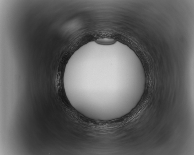 X0000098130818200804171057
