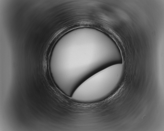 X0000098130829200804171057