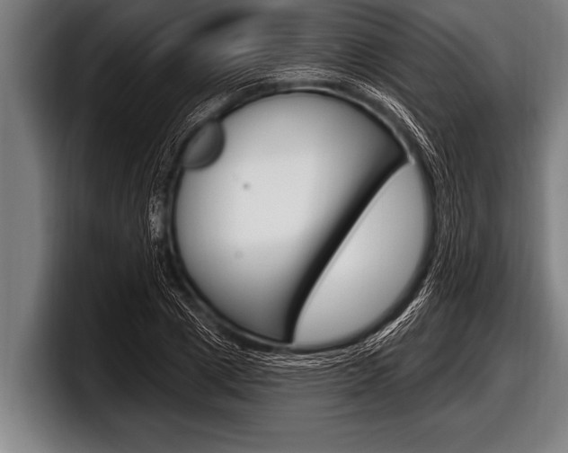 X0000098130833200804171057