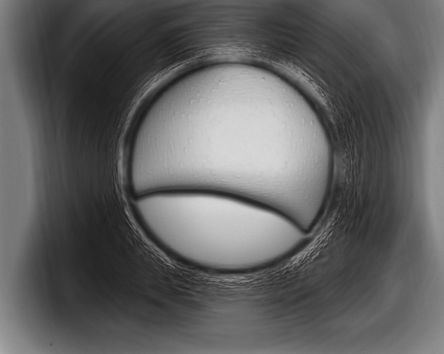 X0000098130839200804171057