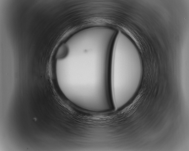 X0000098130843200804171057