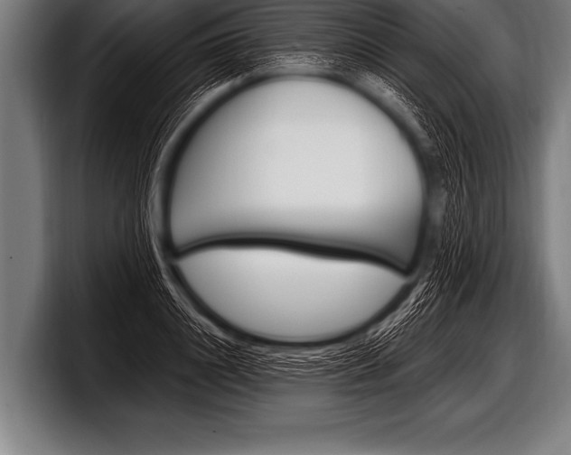 X0000098130844200804171057