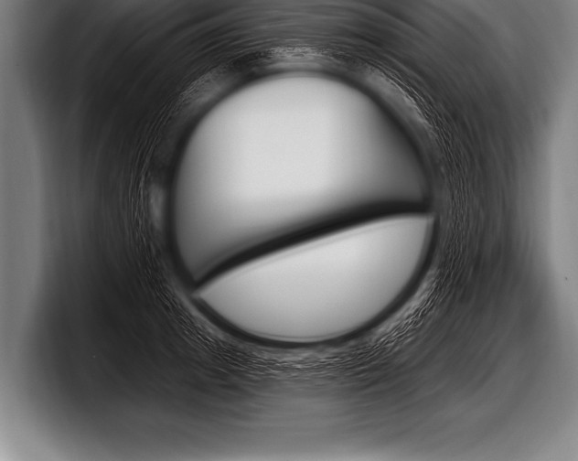 X0000098130849200804171057
