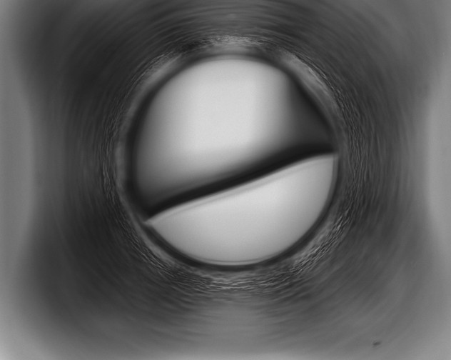 X0000098130850200804171057