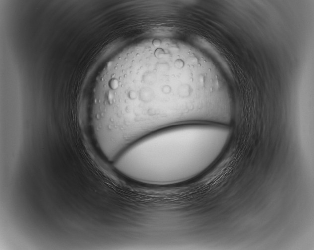 X0000098130851200804171057