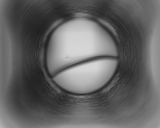 X0000098130855200804171058