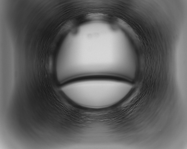 X0000098130857200804171058