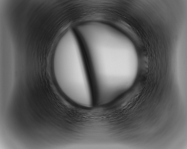 X0000098130858200804171058