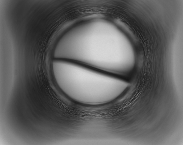 X0000098130860200804171058