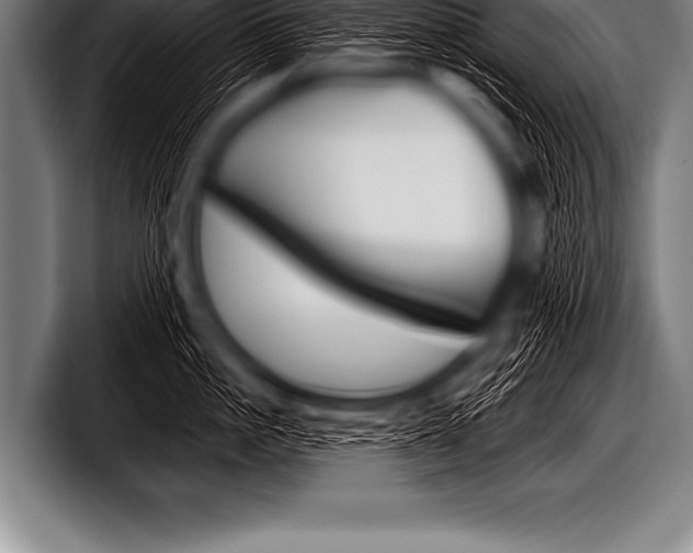 X0000098130861200804171058