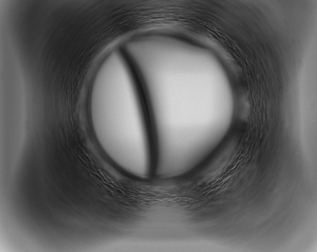 X0000098130862200804171058