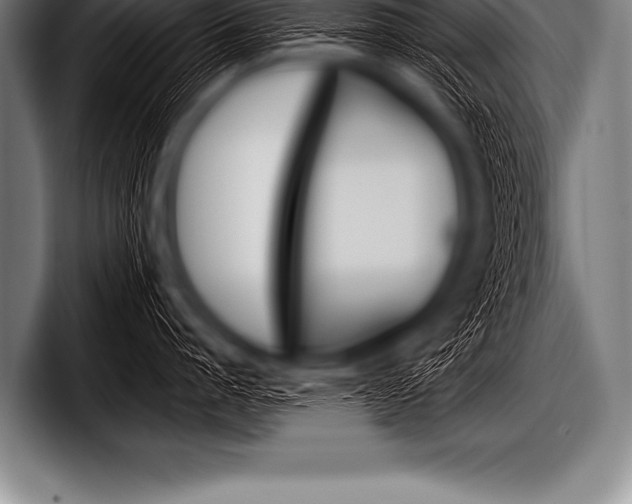 X0000098130864200804171058