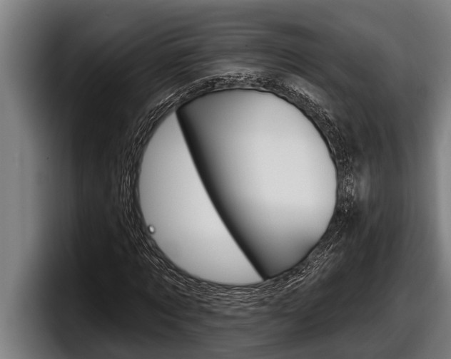 X0000098130869200804171057